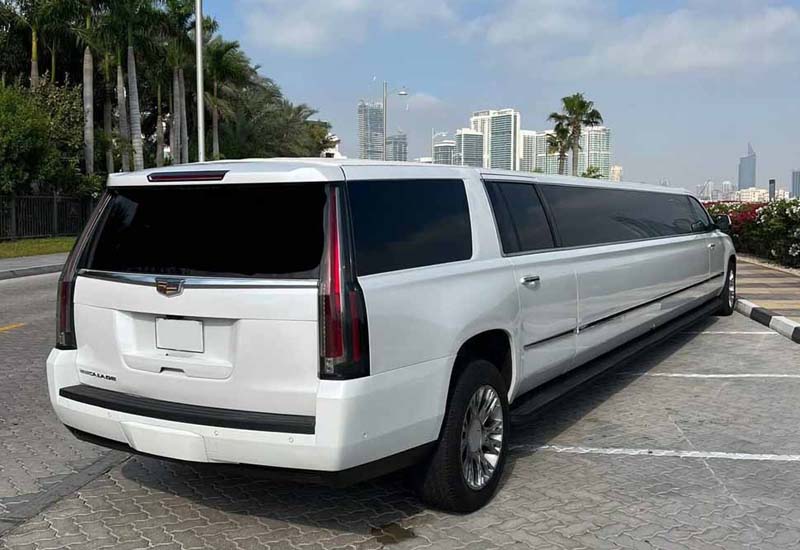 back limo